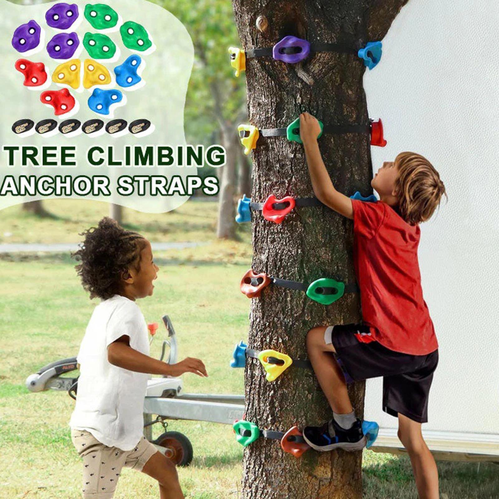 Tree Climbing Holds Adjustable - Heavy Equipment Course のレビューと価格