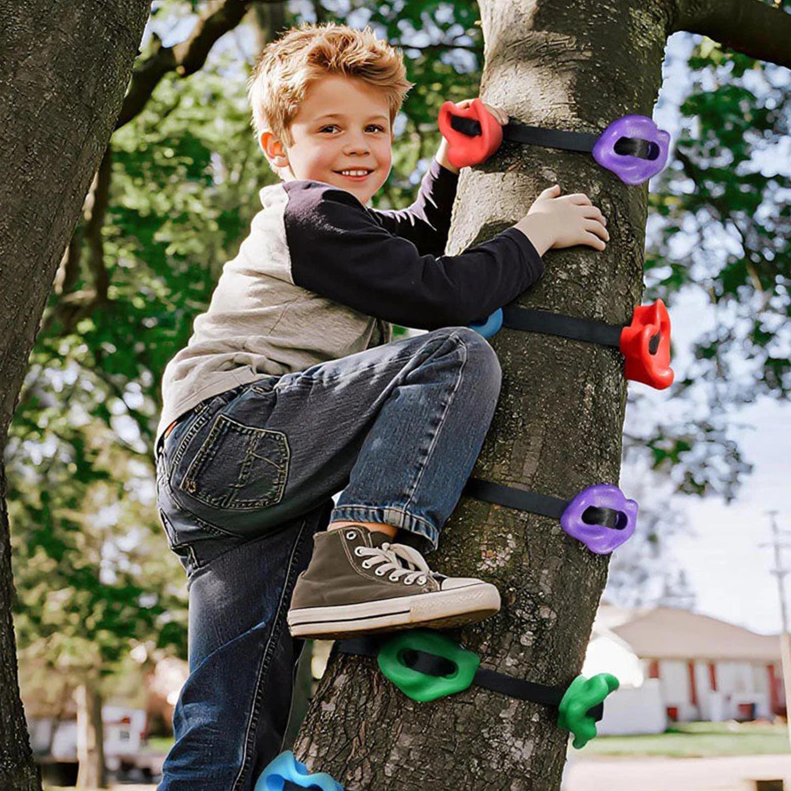 Tree Climbing Equipment Heavy  - Heavy Equipment Course のレビューと価格