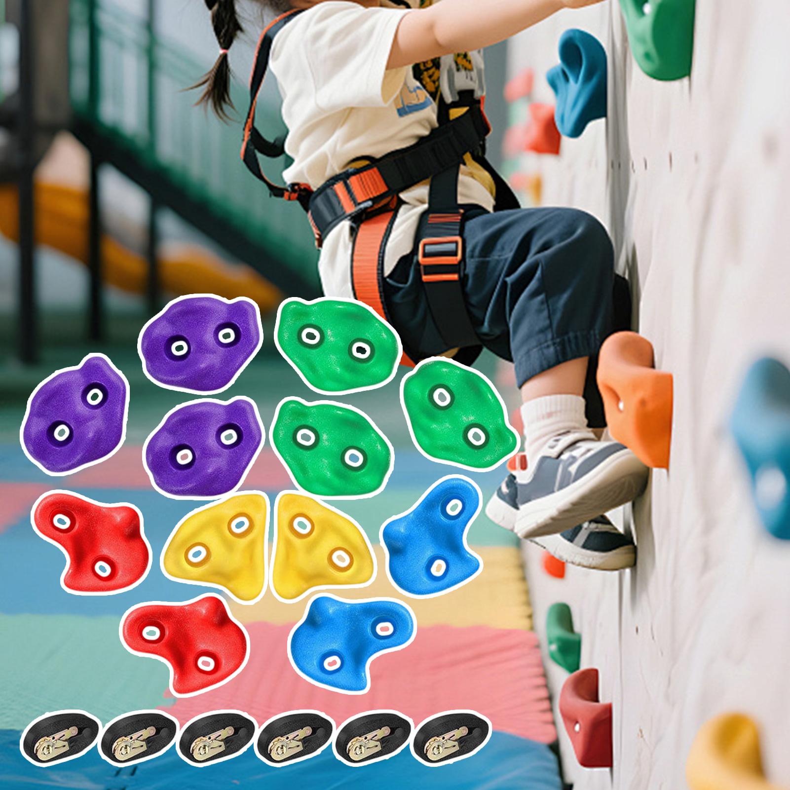 Tree Climbing Equipment Heavy  - Heavy Equipment Course のレビューと価格
