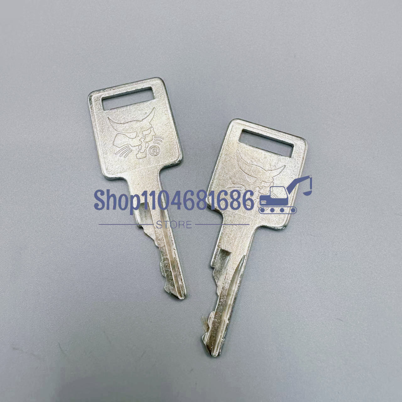 2pcs D250 Ignition Keys 669324 - Heavy Equipment Keychain のレビューと価格
