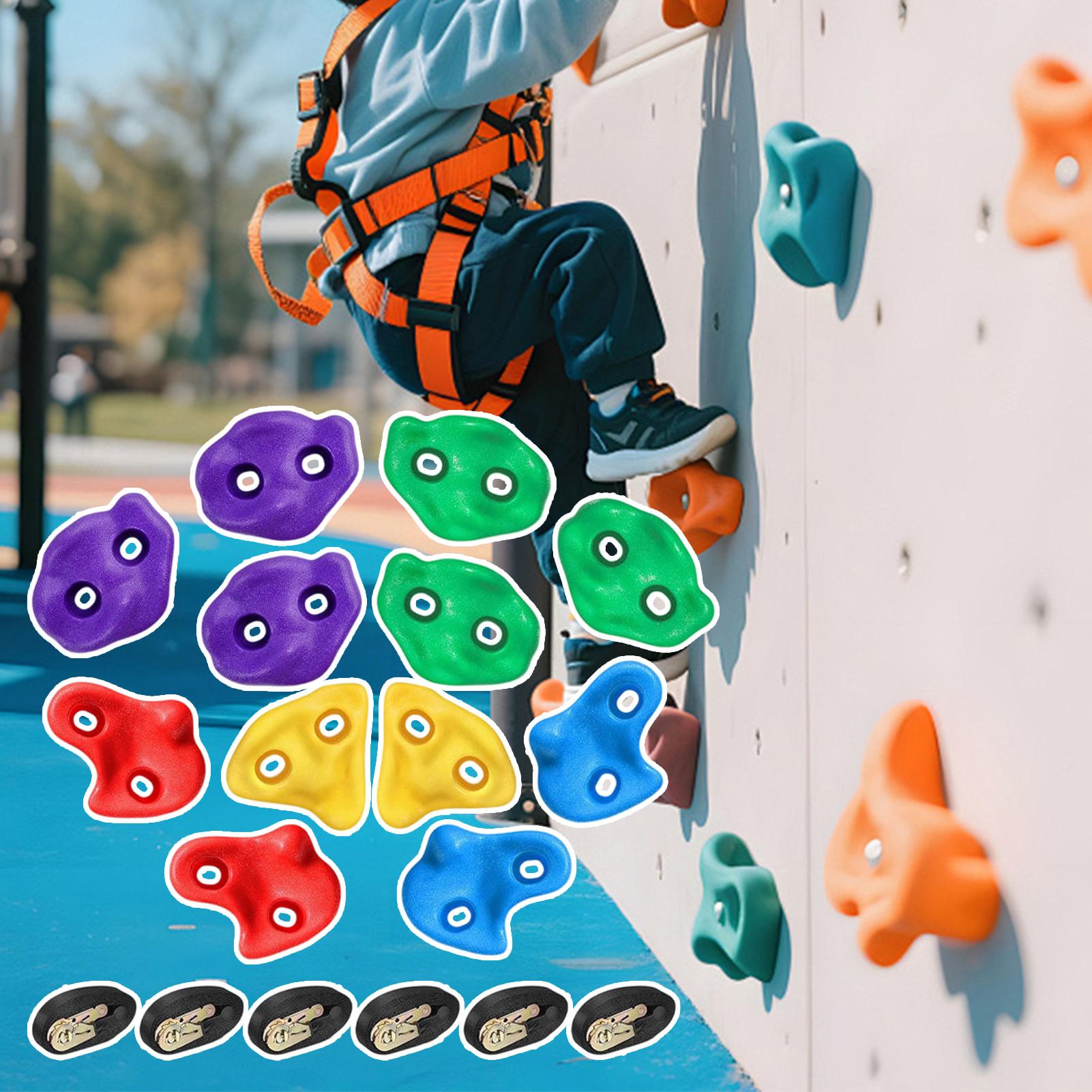 Tree Climbing Equipment Adjust - Heavy Equipment Course のレビューと価格
